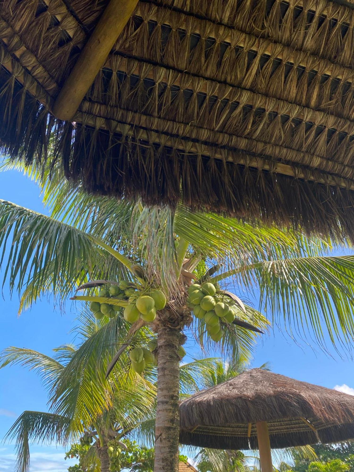 Apartamento Imóvel Pe Areia Com Vista Mar Em No Cd Paraiso Do Corais 216